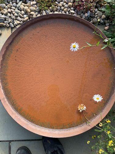 Image #1 from Graham D.