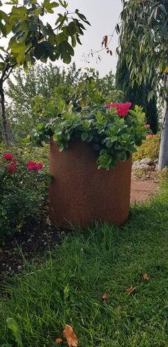 Image #1 from Carlo B.